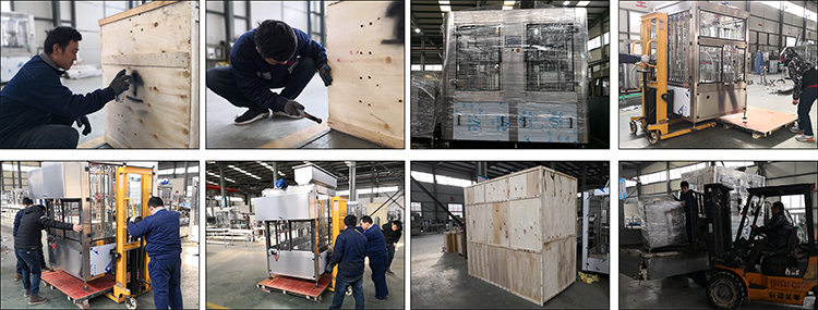 10 noĉa mustardo oleo pleniganta maŝinon kun malalta kosto